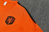 Camisa e Pantalones Cortos para Niño Países Bajos 26/27