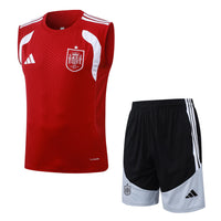 Camiseta y Pantalón corto de Entrenamiento España 26/27