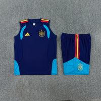 Camiseta y Pantalón corto de Entrenamiento España 26/27