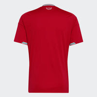 Camiseta Galés Home 26/27