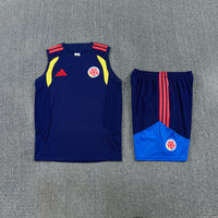 Camiseta y Pantalón corto Entrenamiento Colombia 26/27