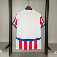 Camiseta Paraguay Home 24/25