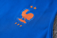 Camiseta y Pantalón corto de Entrenamiento Francia 26/27