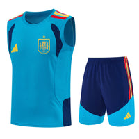 Camiseta y Pantalón corto de Entrenamiento España 26/27