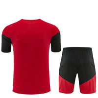 Camiseta y Pantalón corto Entrenamiento Alemania 25/26