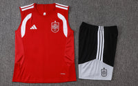 Camiseta y Pantalón corto de Entrenamiento España 26/27