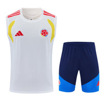 Camiseta y Pantalón corto Entrenamiento Colombia 26/27