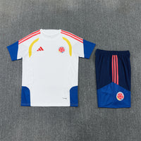 Camiseta y Pantalón corto Entrenamiento Colombia 26/27
