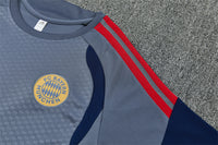 Camiseta y Pantalón entrenamiento Bayern 26/27