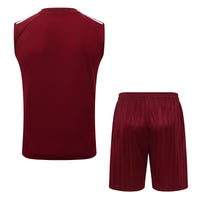 Camiseta y Pantalón corto de Entrenamiento España 26/27