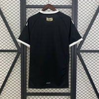 Camiseta Colo Colo 100 años 25/26