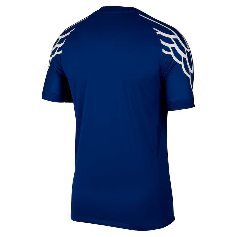 Camiseta PSG Jordan Fourth 24/25 - Jugador
