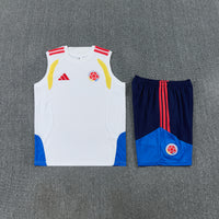 Camiseta y Pantalón corto Entrenamiento Colombia 26/27